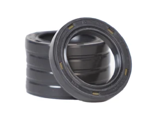 ซีลกันน้ำมัน (Oil Seal) by NOK